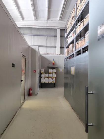 Hala 300 mp  incinta Faur - 2