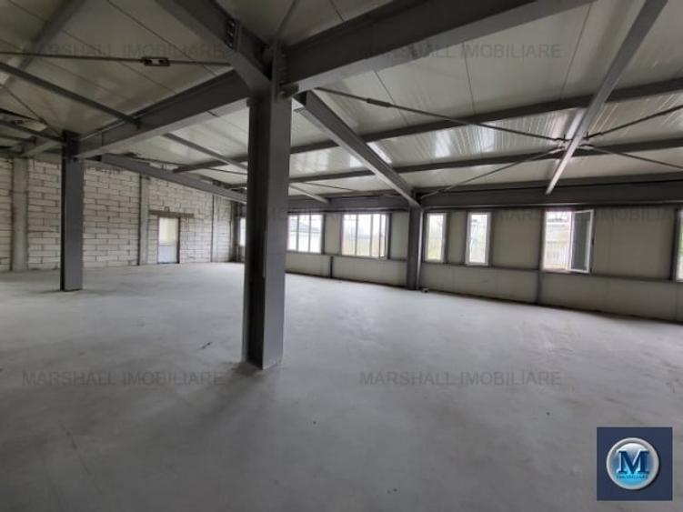 Spatiu industrial de vanzare, zona Exterior Vest, 798.55 mp #15366 - 9