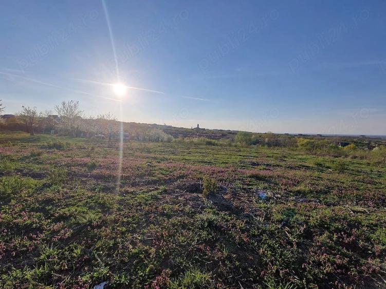 Teren de 3100 mp, în Paleu