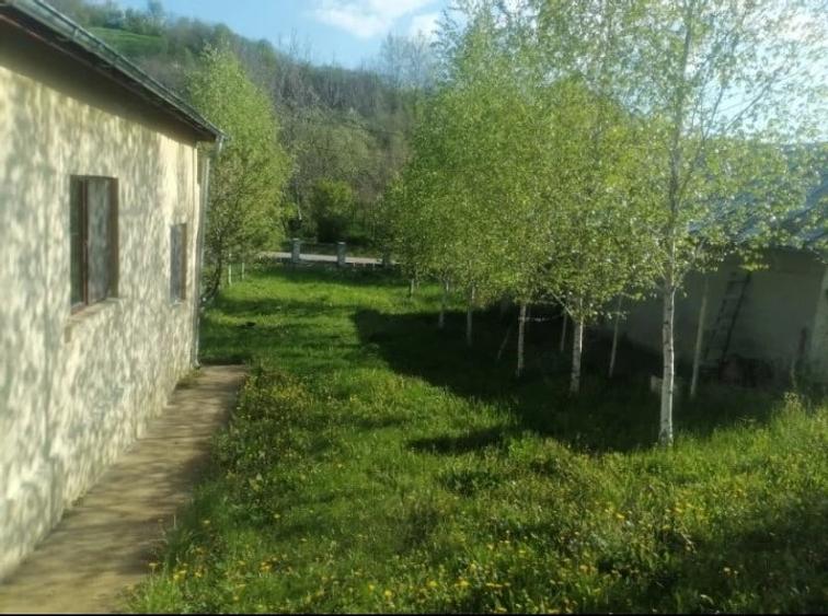 Casă cu 4 camere cu Teren 2134 Mp în Răzvad