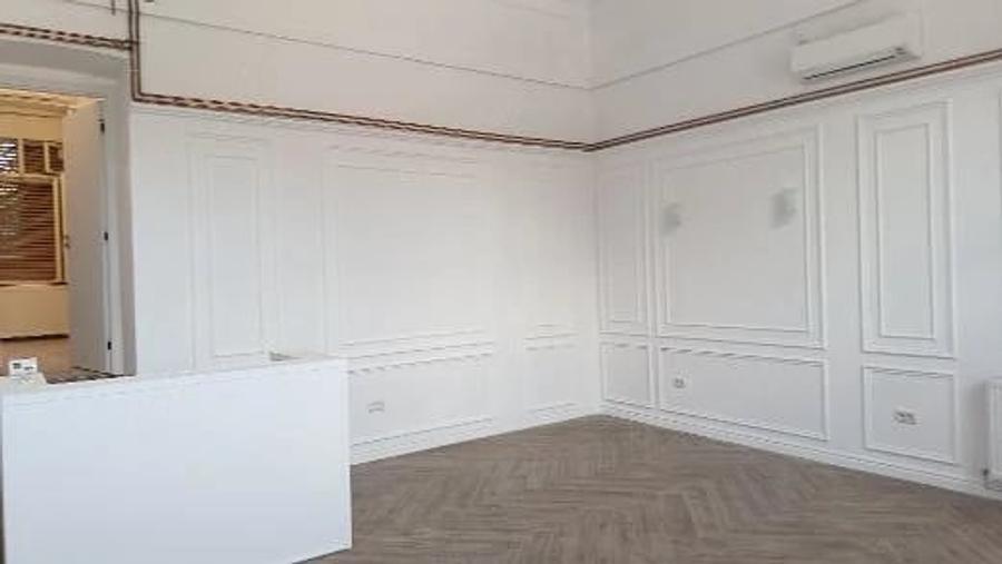 Spatiu comercial de inchiriat Piata Alexandru Mocioni - 5
