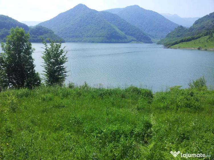 Teren de 73000 mp, în Siriu