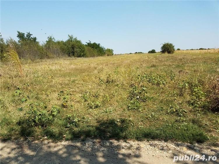 Teren de 1800 mp, în Letca Nouă