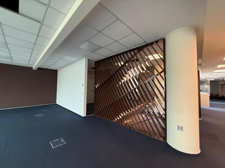 Spațiu de Birouri Premium pe Calea Floreasca – Versatil și Gata de Mutare - 3