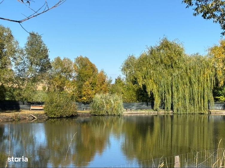 Teren de vanzare - Agapia, Neamt - 9