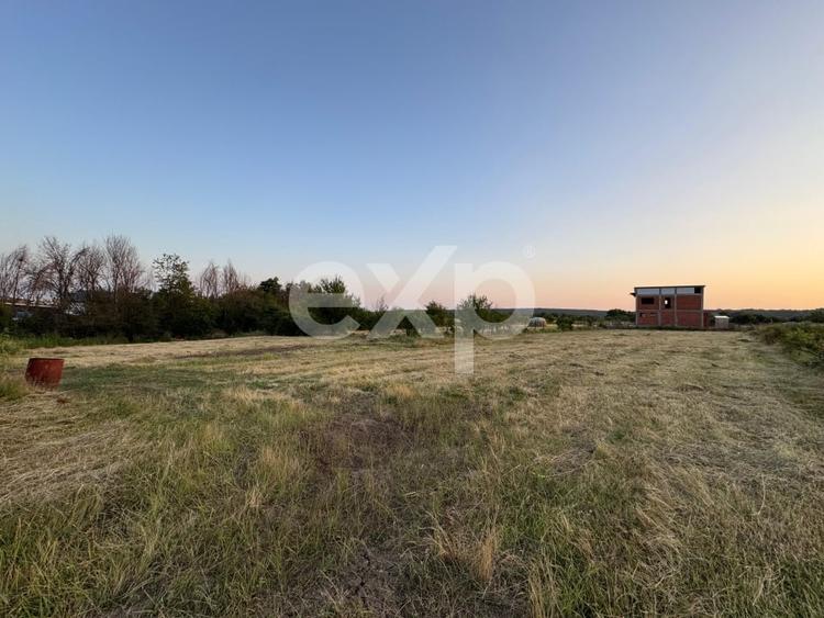 Teren 1650 mp intravilan Trivale - Olteni – cadru natural langa Padure - 1