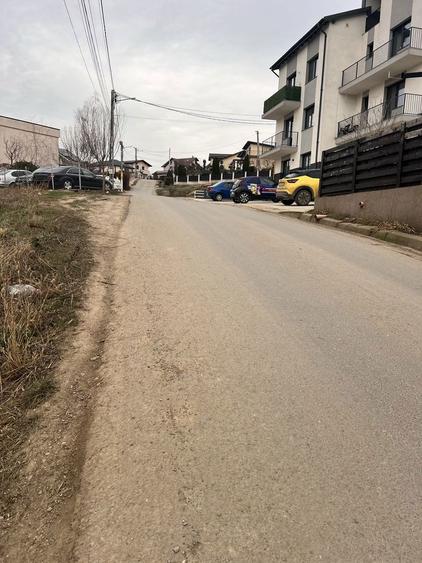 Pf Vand Teren Hlincea manta Rosie 600 mp intravilan - 5