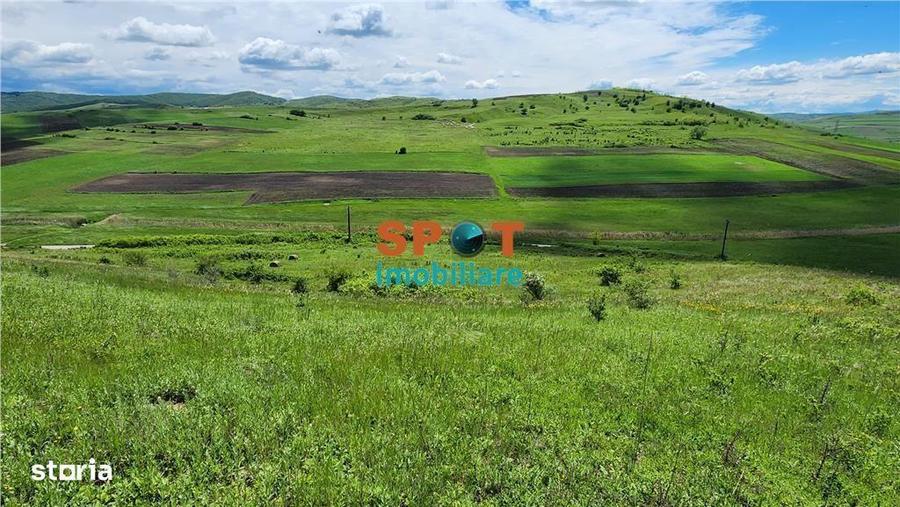 Teren extravilan 2.5 ha investitie ideala, sat Visa - 6