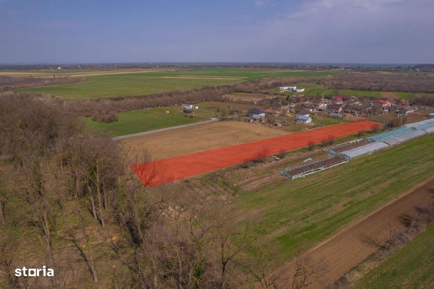 Nuci - Balta Neagra, Lot 3900 Mp, La Padure! - 2