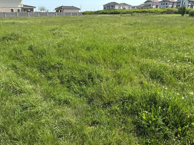 Teren 1239 mp front 29 in Aradul nou - 9