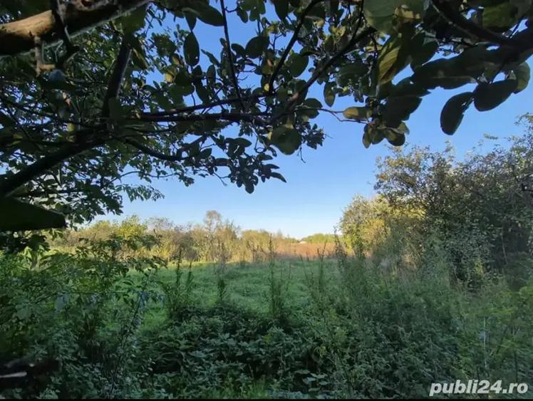 Casa batraneasca - 8