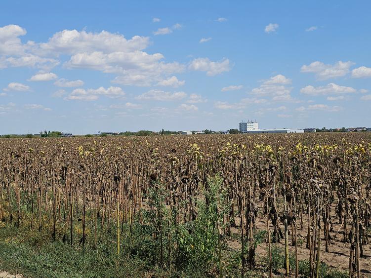 Teren Popesti | A0 | 3.3 HA intravilan | CU P+2 | Comision 0 - 10