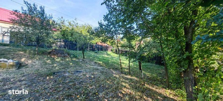 Teren 532 mp plus anexe (Poiana Campina, cartier Ragman) - 4