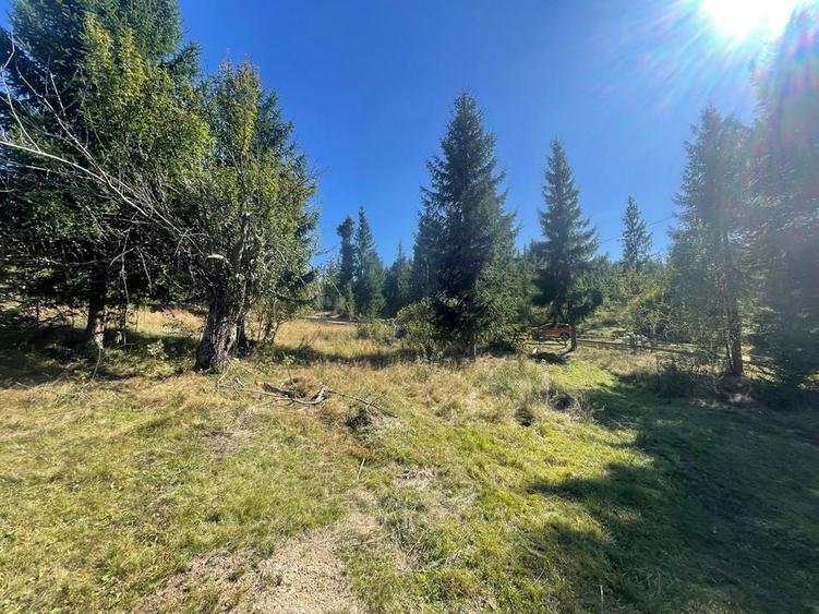 Teren Intravilan | Dealul Negru | Investiție | 1500 mp - 3