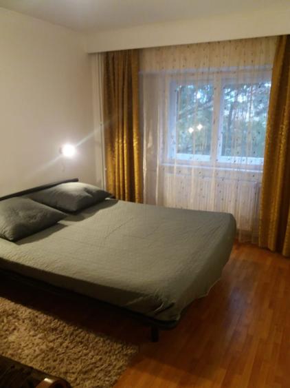 Apartament 2 camere zona Dacia - 8