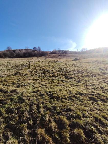 Teren cu Parau Muntele Baisorii - 5