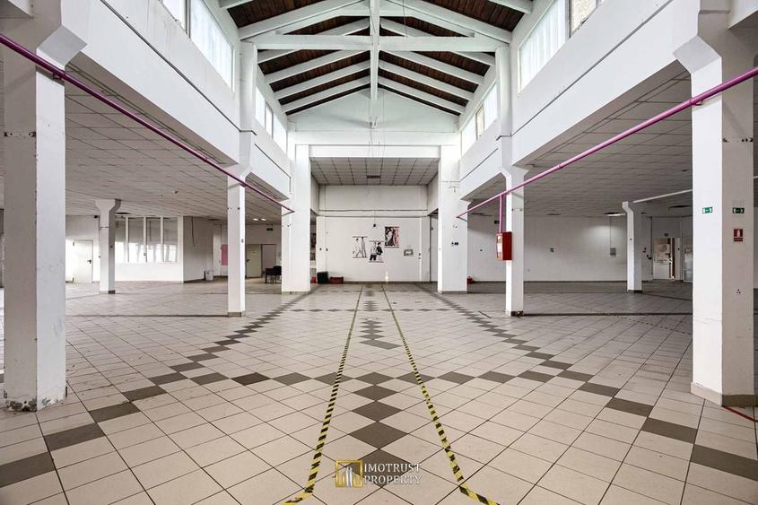 Hala de inchiriat in Arad 762 mp zona centrala Arad - 2