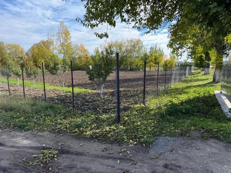 vand teren intravilan Deveselu olt - 2