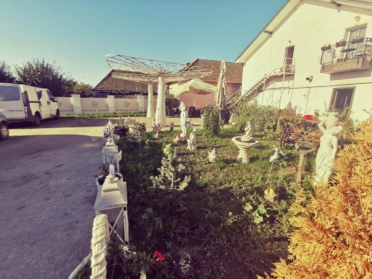 Hanul Potcoava Norocoasa – Business “la cheie“ Ortisoara !! - 8