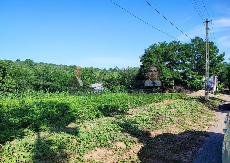 Teren pentru casa/Fantani/Nicoresti - 3