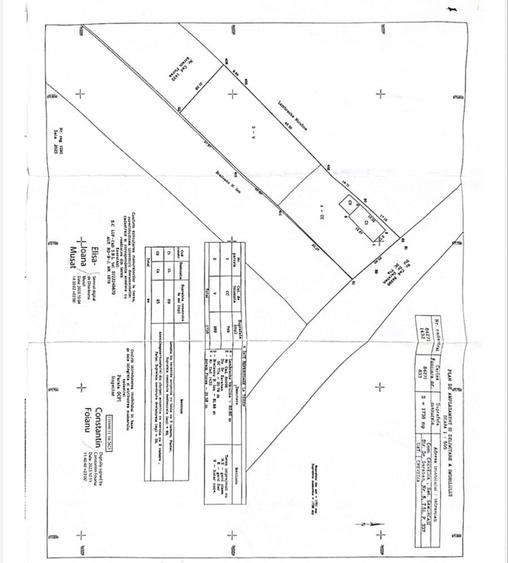 5000 mp teren Crevedia Samurcasi - 8