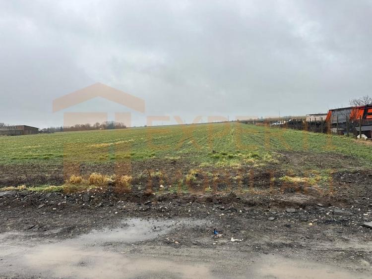 Teren 14.785 mp , zona Ovidiu, Constanta - 2