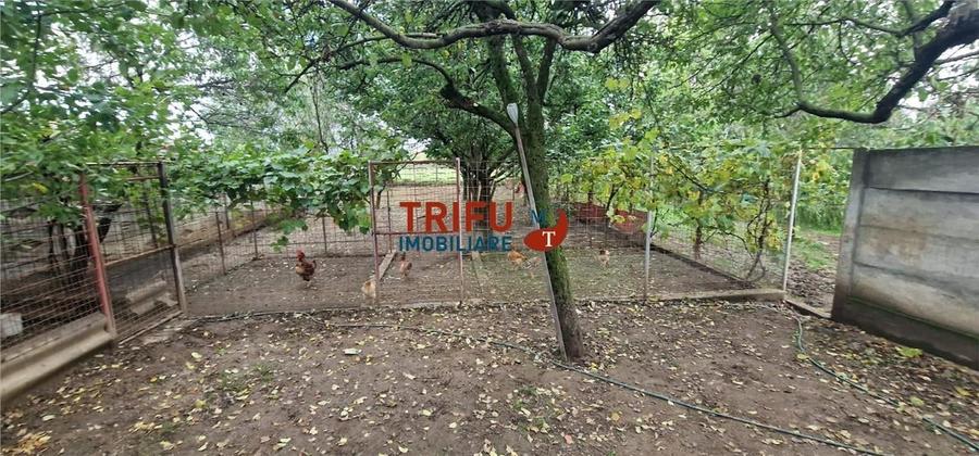 Casa 3 camere, 976 mp, garaj, zona Barabant - 15