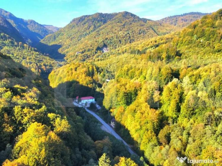 Oportunitate !!!! Cabana 360 mp, teren 840 mp, Moroeni - 7