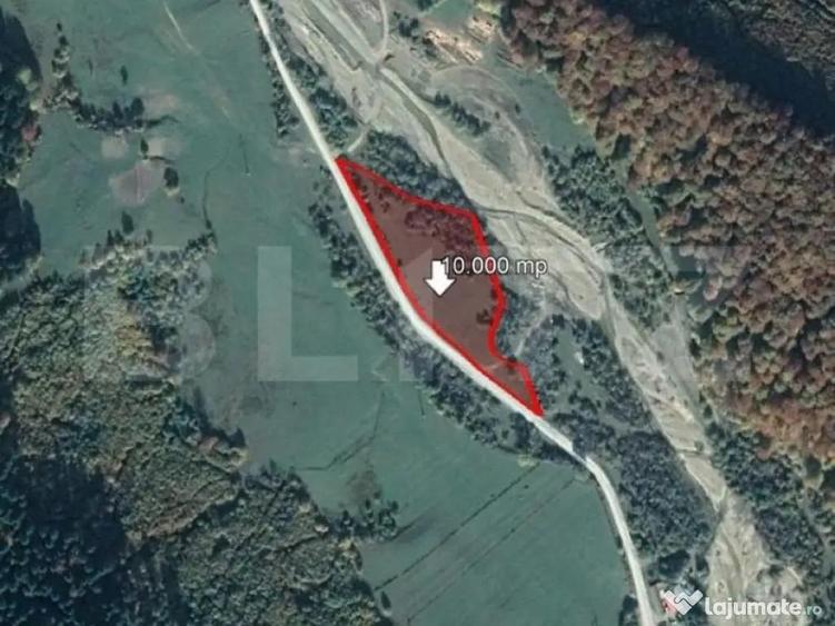 Teren 10.000 mp, Valea Zizinului - 1