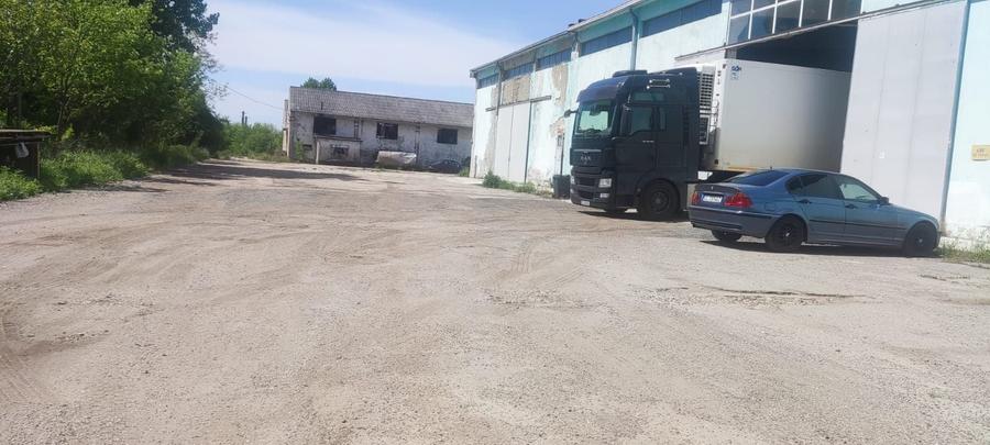 Hala renovata Orasul  Alexandria - 1