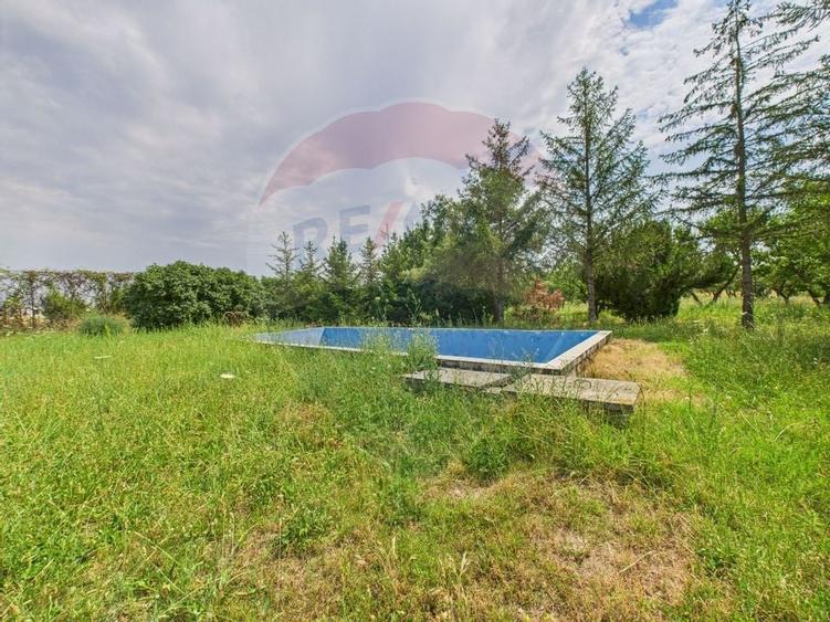 Proprietate speciala Dragomiresti Deal -Teren 15000 mp - 33