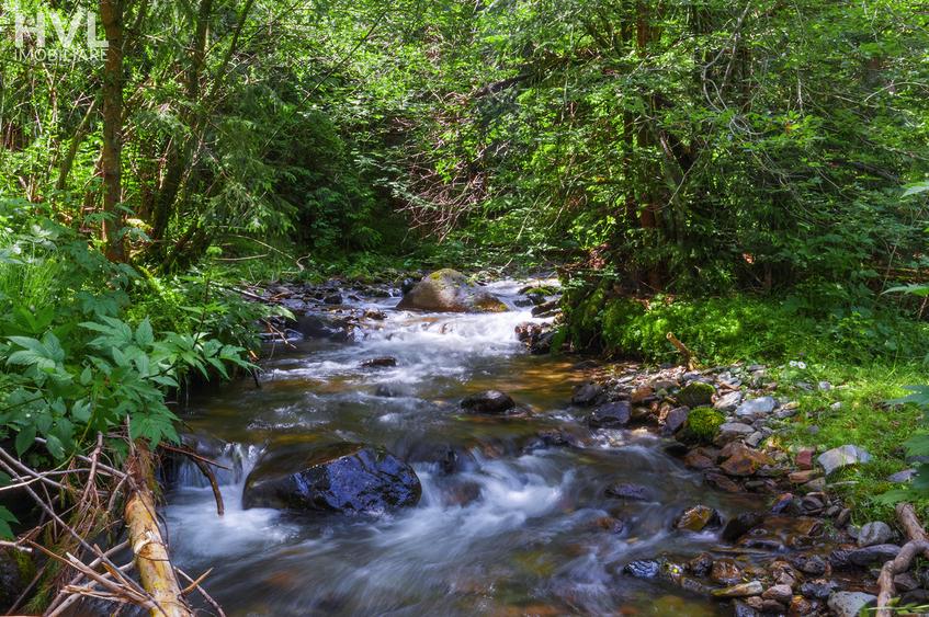 Teren curti constructii in Arieseni - 8