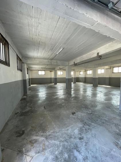 Hala 595 mp + teren 1500 mp Frumusani ( stradal ) - 6