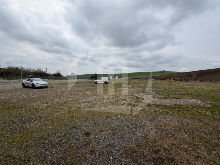 Teren 8000 mp si hala de 100 mp, in Apahida - 1