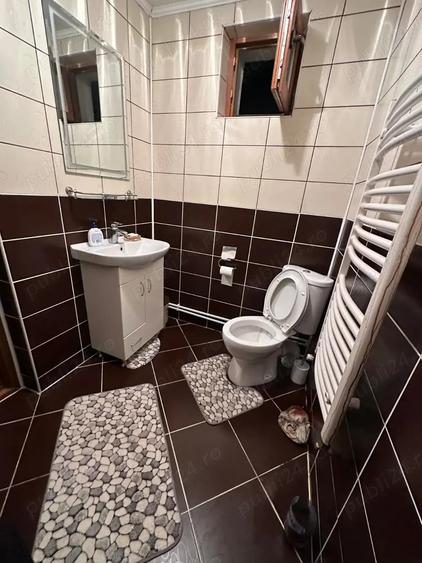 Vila de inchiriat aproape de Targu-Jiu - 6