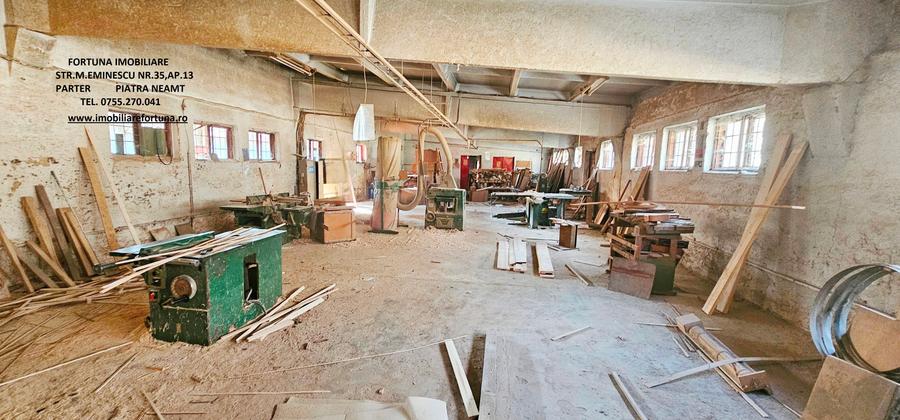 Hala si teren , Piatra Neamt - 9