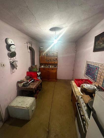 Casa cu teren generos de vanzare in Ianova (Remetea Mare) 129 mp + 1078 mp - 3