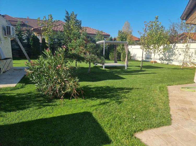 Snagov, vila individuala P+1, 6 camere, teren 2481 mp, - 8