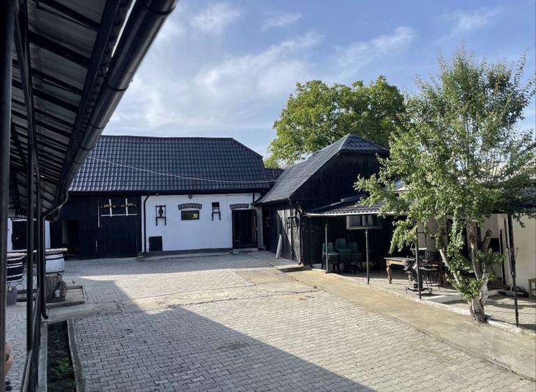 Complex rural 3 cladiri locuibile | 4731 mp teren | Damieni zonaSovata - 2