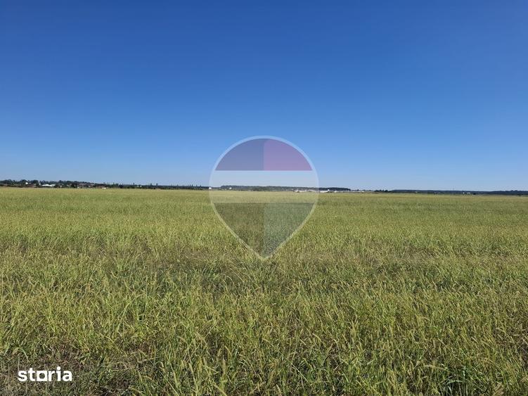 Vanzare teren extravilan 5.000mp - Pantelimon - 8