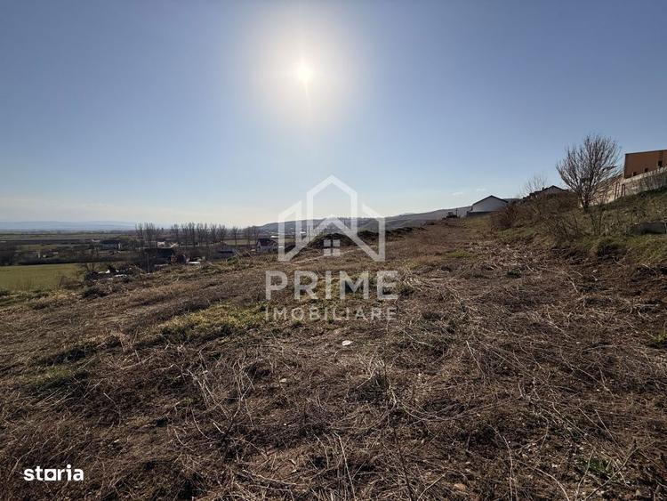 TEREN INTRAVILAN PANORAMIC DE VANZARE 5600 MP, CETATE, ALBA IULIA - 1