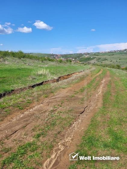 Teren extravilan 2000 mp, imprejmuit, panorama superba – Salicea (Cluj) - 4