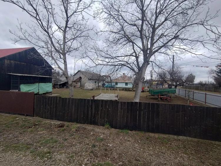 De vanzare casa + teren - Dumbravita, Botosani - 4