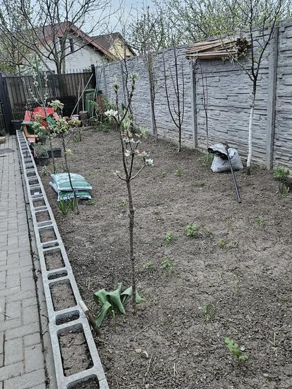 Proprietar vand 3 camere Sanandrei - 6