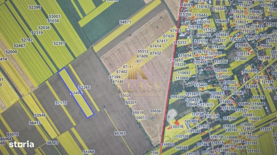 Teren Arabil 1.7 Ha Localizare Strategica intre Buftea si Corbeanc - 3