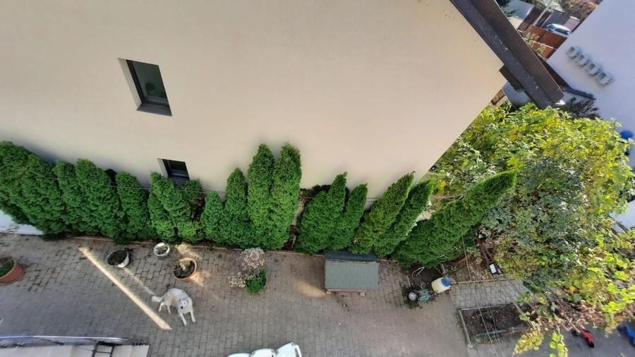 Vanzare vila Damaroaia mobilata/utilata complet - 8