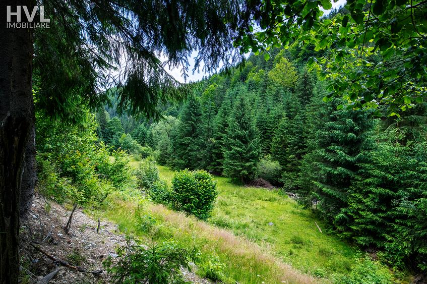 Teren curti constructii in Arieseni - 7