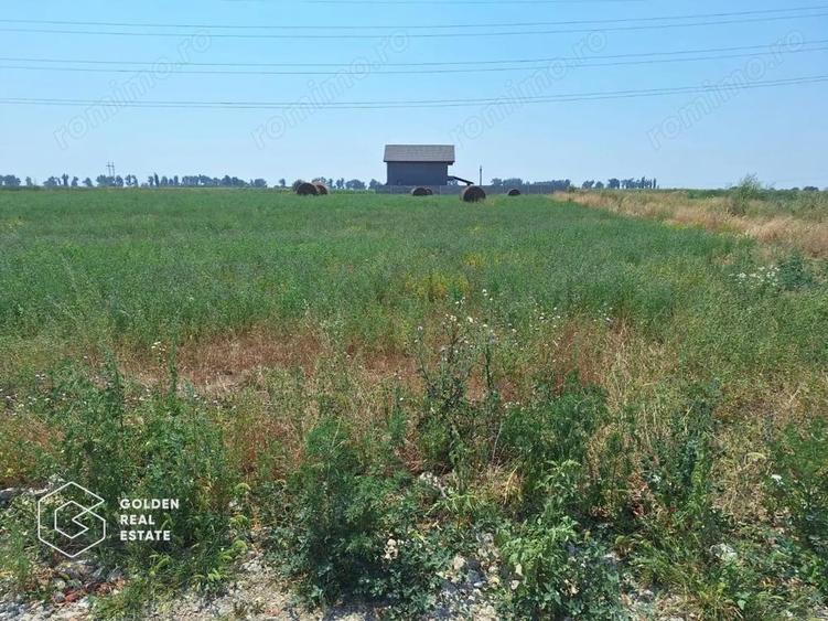Teren pentru constructie duplex sau casa individuala, 840 mp, Chisoda - 2