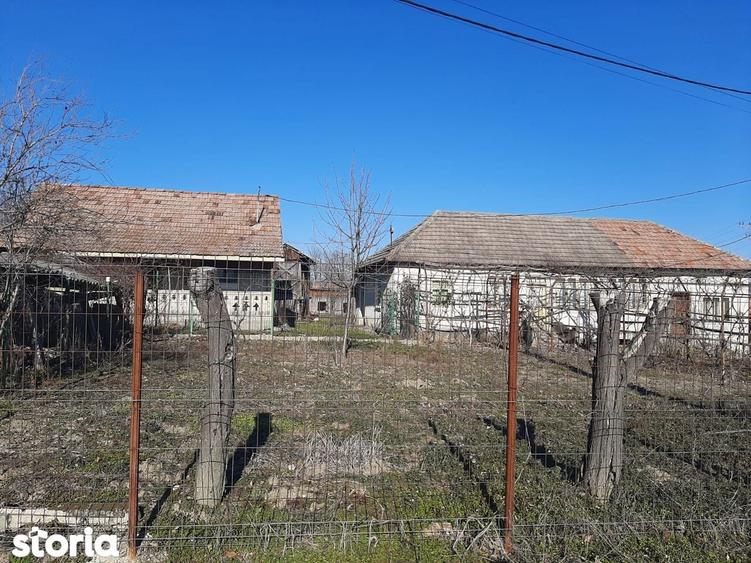 Gospodarie de vanzare in Lapusata Valcea - 3