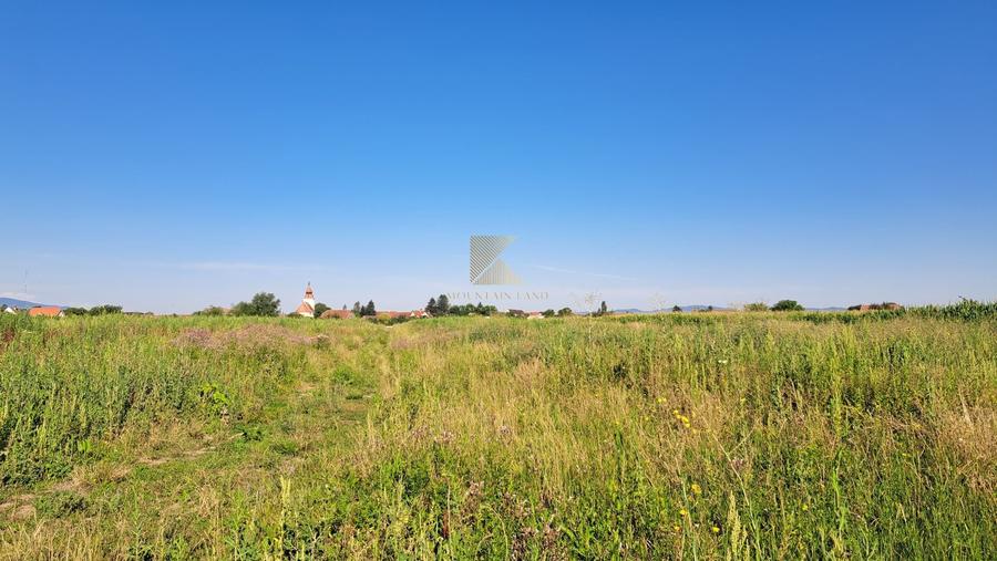 Posibilitate RATE | Teren Bod | curti constructii | utilitati | PUZ, - 12